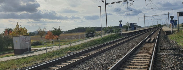 Železniční zastávka Ostrá is one of Trať 231 Praha - Nymburk - Kolín.