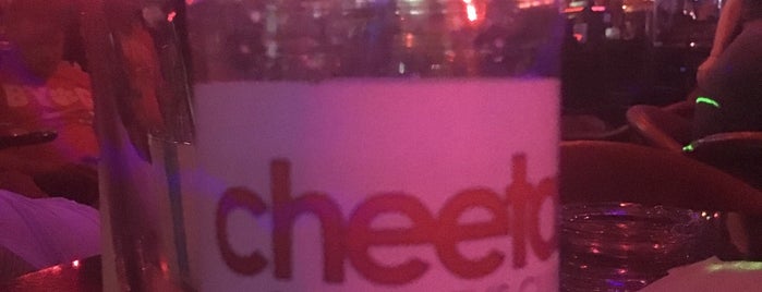 Cheetah Pompano is one of Gentlemens clubs.