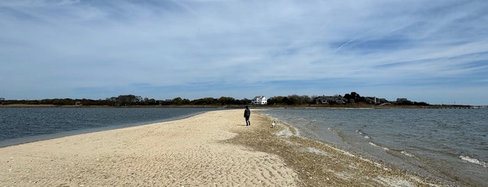 Webby's Beach is one of Moriches.
