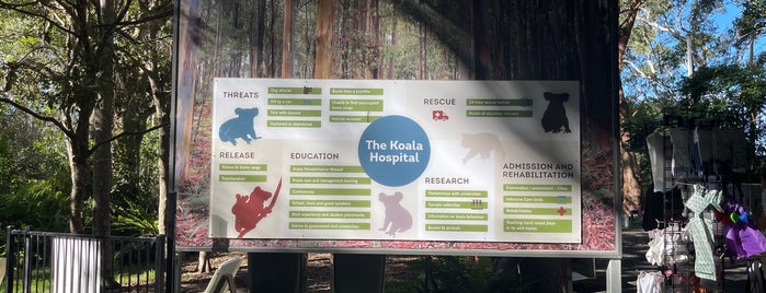 Koala Hospital is one of Best places from my travels.