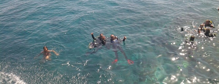 El Faro Del Poris is one of สถานที่ที่ Charly ถูกใจ.