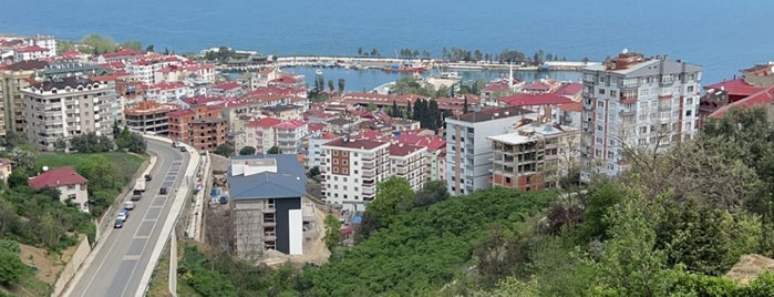 Fi Cafe & Restaurant is one of Trabzon.