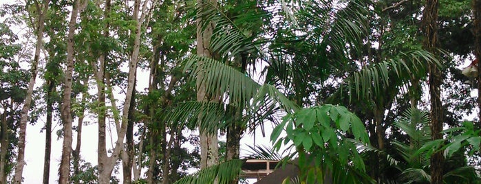 Museu Parque Seringal is one of Ótimo lugar de lazer para família.