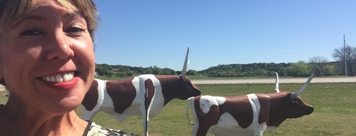 The Junction On Route 36 is one of Texas.