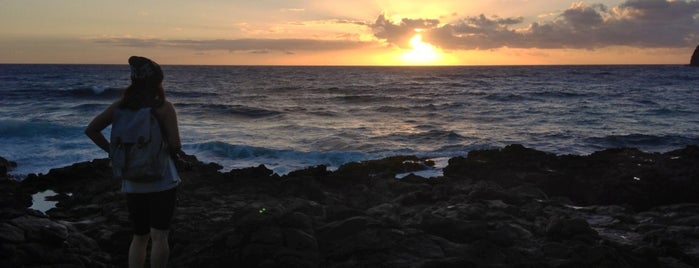 Tidepools at Makapu'u is one of Oahu 2019.