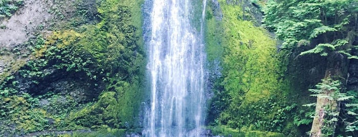 Marymere Falls is one of Lugares favoritos de Mike.