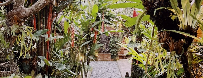 Miro's garden restaurant ubud is one of Bali Indonésie 🇮🇩.