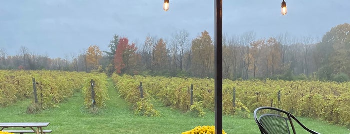 Shelburne Vineyard is one of Burlington, VT.