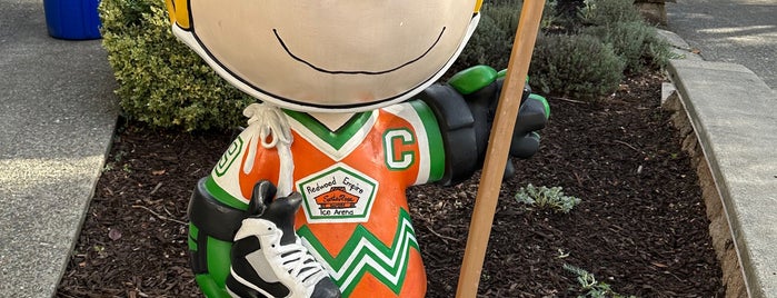 Snoopy's Home Ice is one of Favorites in Sonoma County.