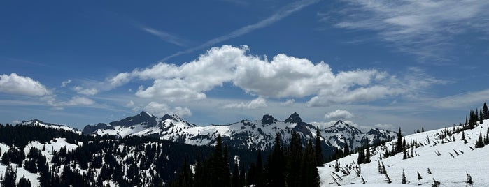 Mount Rainier National Park is one of Seattle Area Oddities.