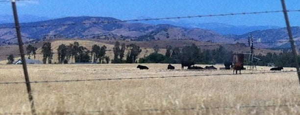 Jensen Ranch is one of Tyler'in Beğendiği Mekanlar.