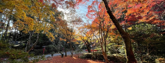 常照寺 is one of 京都で、行きたい所.