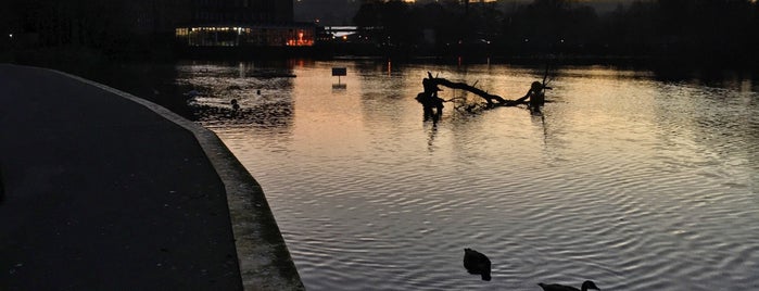 Belper river gardens is one of สถานที่ที่ Shaun ถูกใจ.