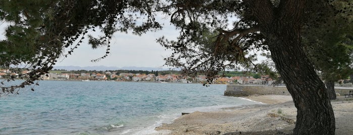 "Pineta" Beach is one of Petrcane, Zadar.