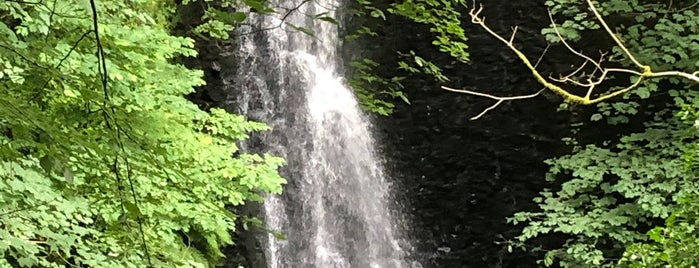 Falling Foss is one of A Trip to North Yorkshire.