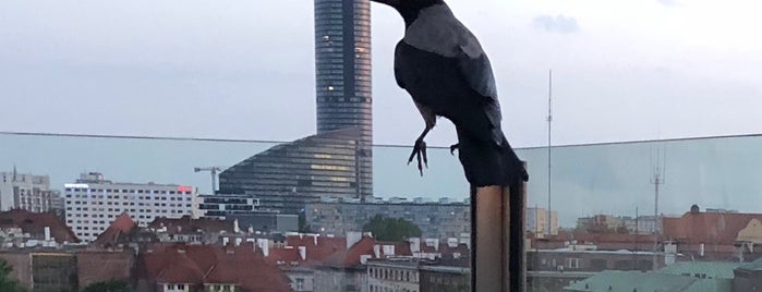 Ristorante Acquario is one of Gault&Millau Wrocław 2018.