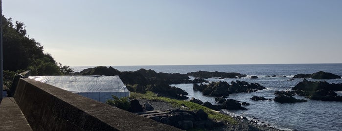 湯泊温泉 is one of Yakushima.