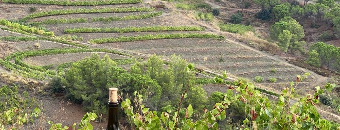 Alvarez Duran is one of Priorat.