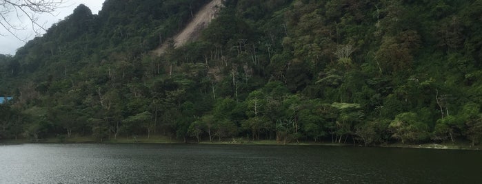 La Laguna de San Carlos is one of Playas Coclé Pma Oeste.