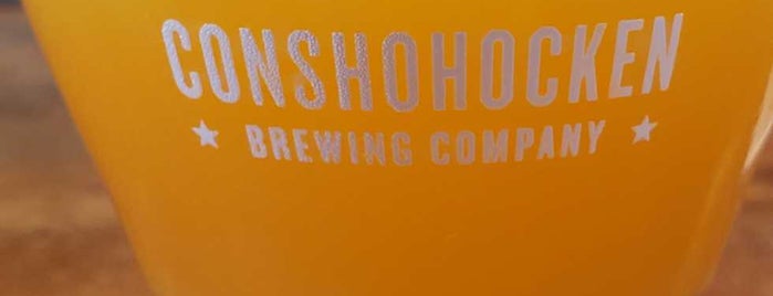 Conshohocken Brewing Co. Brewpub is one of Go To Spots when I'm in Town.