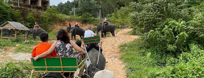 Nopparat Elephant Camp is one of تايلند بوكيت.