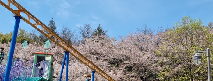 중외공원 is one of 광주 (Gwangju).