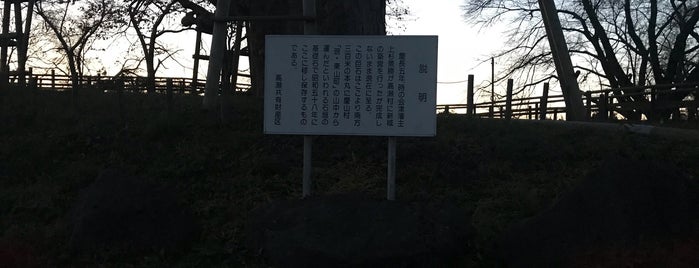 神指城跡 is one of ちょっとマニアックな会津観光.