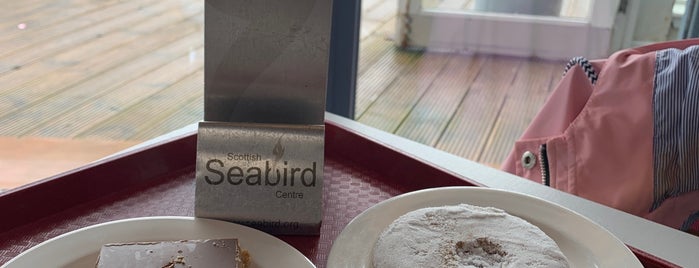 Scottish Seabird Centre is one of "Must-see" places in Edinburgh.