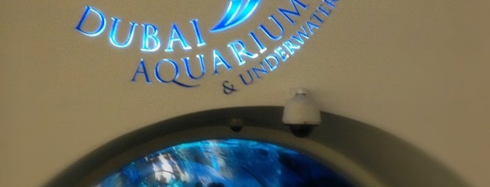 Dubai Aquarium is one of lovely places....
