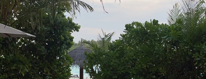 Anantara Dhigu Resort & Spa Maldives is one of Maldivler.