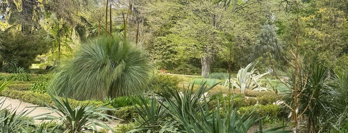 Royal Botanical Garden is one of Madrid.