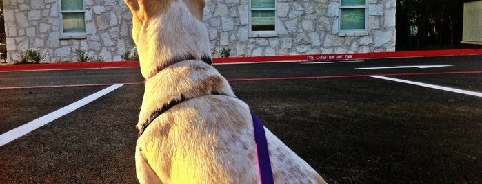 Austin Dog Alliance New Hope Ranch is one of Tempat yang Disukai Troy.