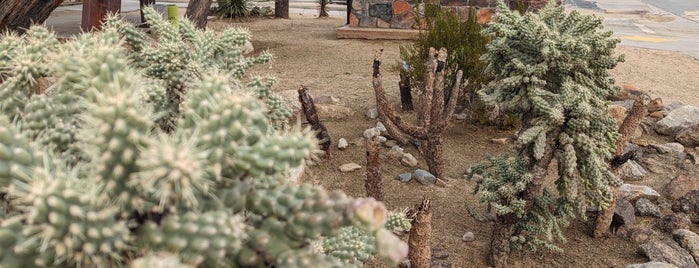 Joshua Tree National Park Visitors Center is one of Desert Dreamin'.