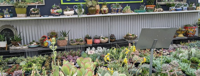 Highway 92 Succulents is one of Places for Kids.