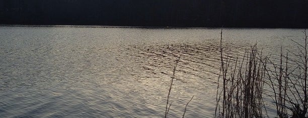 Stone Mountain Lake is one of สถานที่ที่ favthingsatl ถูกใจ.