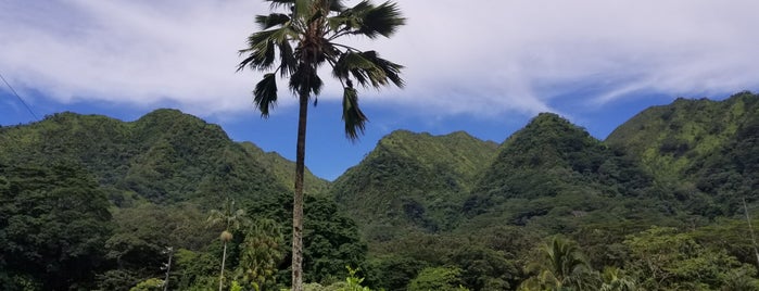 Paradise Park is one of Hawai'i 2013/14.
