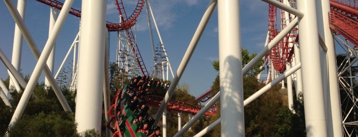 Viper is one of Six Flags Magic Mountain Roller Coasters.