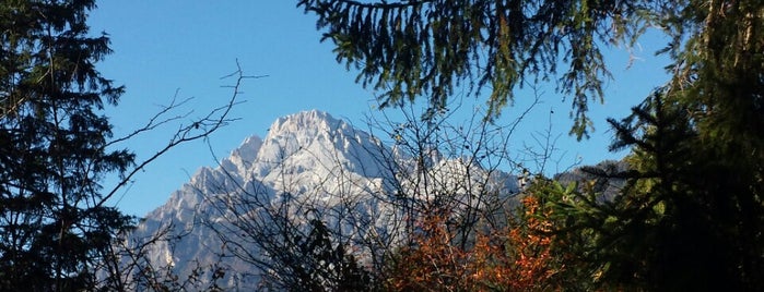 Damos is one of Cadore - Dolomiti.