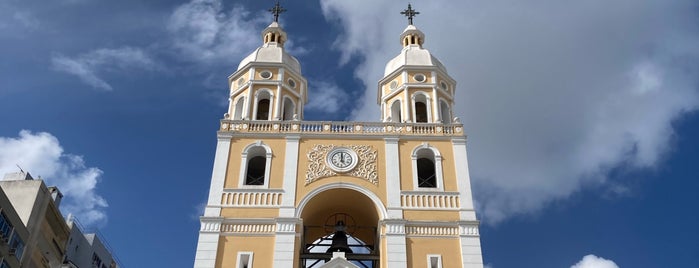 Catedral Metropolitana de Florianópolis is one of 10 lugares em Florianópolis, Brasil.