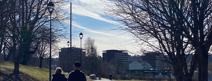 Tøyenparken is one of Oslo ✈️.