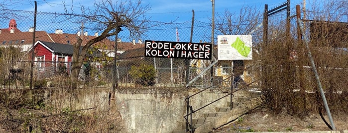 Rodeløkkens Kolonihager is one of OslokoZ.