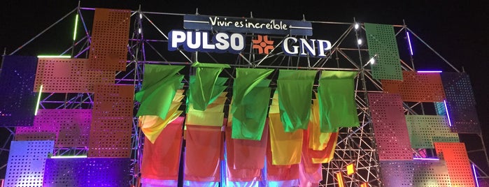 Festival Pulso Querétaro is one of สถานที่ที่ Mayte ถูกใจ.