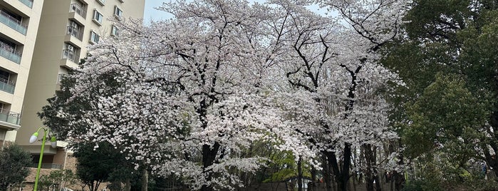 西ノ原中央公園 is one of 公園_埼玉県.