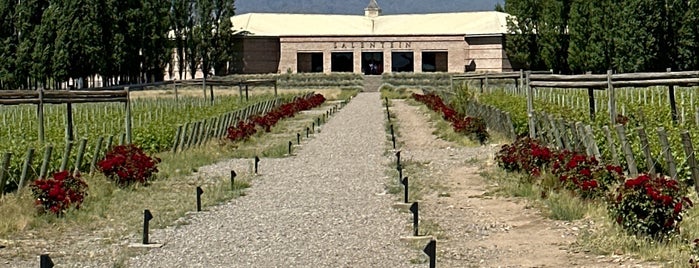 Bodegas Salentein is one of Chile / Argentina / Patagonia.