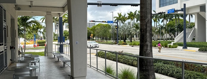 University of Miami is one of Miami Tops.
