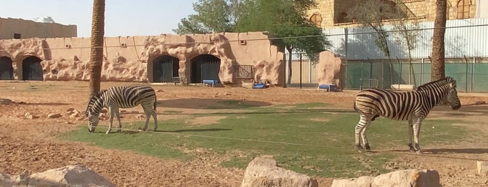 Riyadh Zoo is one of الأماكن المفضلة..