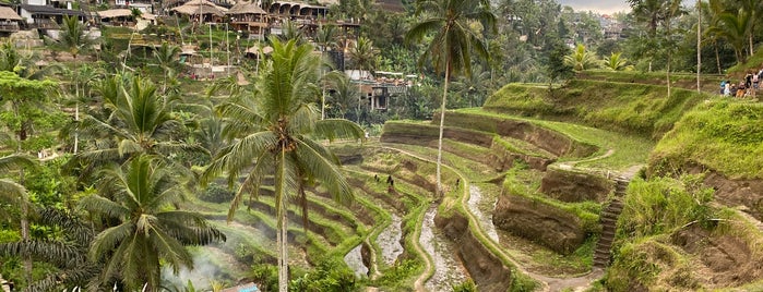 Tegalalang Rice Terrace is one of Bali.