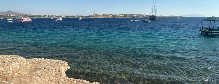 On Deck Lido is one of Sharm El sheikh.