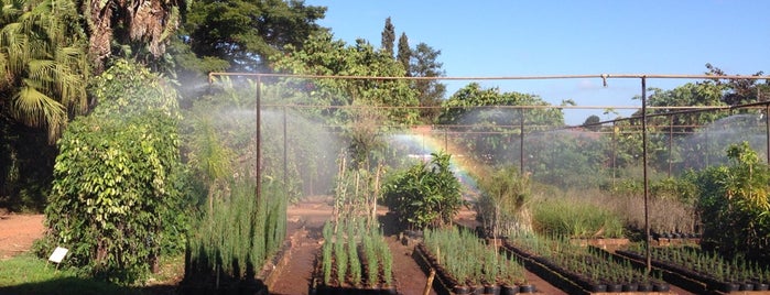 Fazenda Citra - Dierberger is one of Lugares que Van & Fê estiveram II.