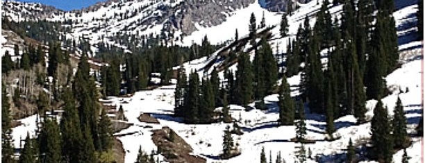 Alta Ski Area is one of Lugares de Norteamerica que visite.